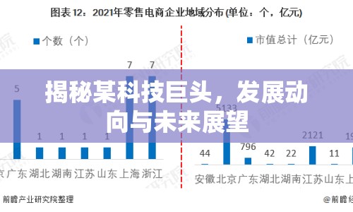 揭秘某科技巨頭，發(fā)展動向與未來展望