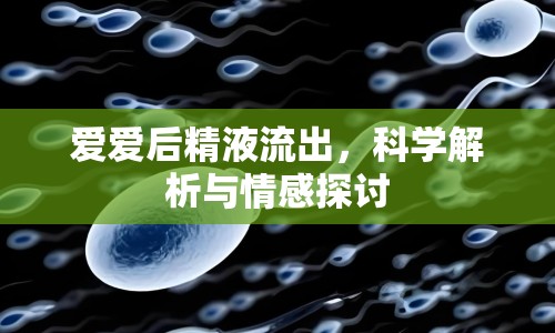 愛愛后精液流出，科學(xué)解析與情感探討