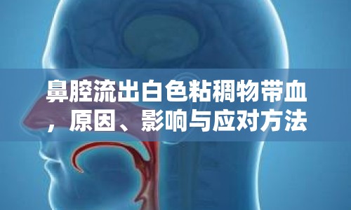 鼻腔流出白色粘稠物帶血，原因、影響與應對方法