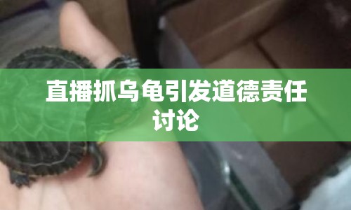 直播抓烏龜引發(fā)道德責(zé)任討論