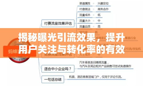 揭秘曝光引流效果，提升用戶關注與轉化率的有效策略