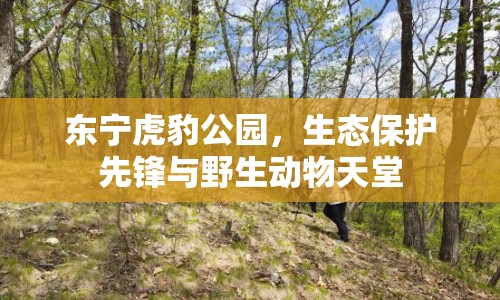 東寧虎豹公園，生態(tài)保護(hù)先鋒與野生動物天堂