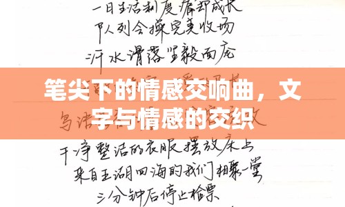 筆尖下的情感交響曲，文字與情感的交織