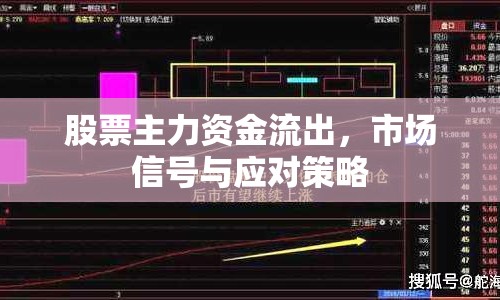 股票主力資金流出，市場(chǎng)信號(hào)與應(yīng)對(duì)策略