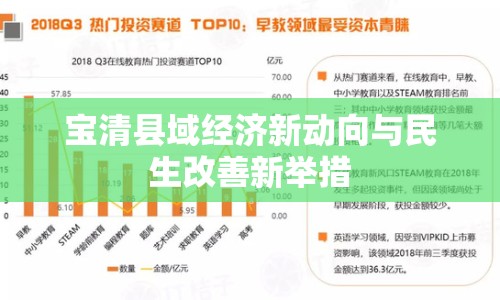 寶清縣域經(jīng)濟(jì)新動向與民生改善新舉措