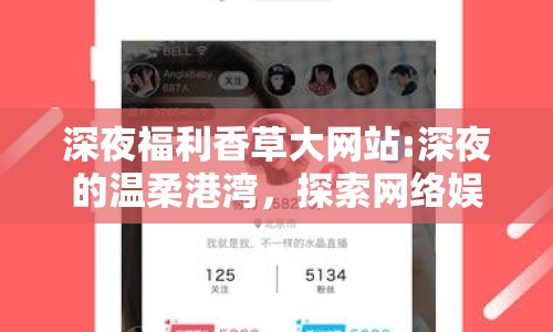 深夜福利香草大網(wǎng)站:深夜的溫柔港灣，探索網(wǎng)絡(luò)娛樂的新境界