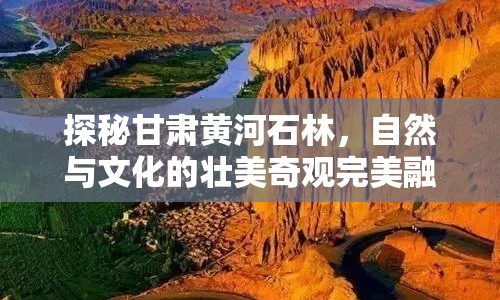 探秘甘肅黃河石林，自然與文化的壯美奇觀(guān)完美融合