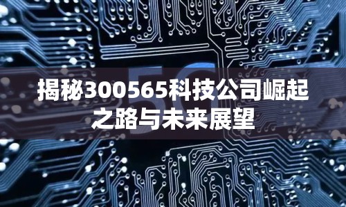 揭秘300565科技公司崛起之路與未來展望