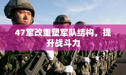 47軍改重塑軍隊結構，提升戰(zhàn)斗力