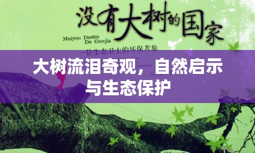 大樹流淚奇觀，自然啟示與生態(tài)保護(hù)