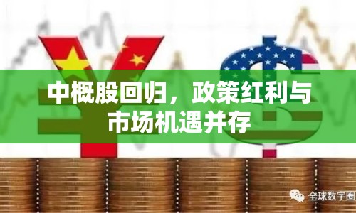 中概股回歸，政策紅利與市場機遇并存