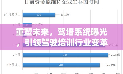 重塑未來，駕培系統(tǒng)曝光，引領(lǐng)駕駛培訓(xùn)行業(yè)變革