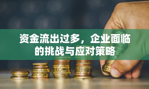 資金流出過多，企業(yè)面臨的挑戰(zhàn)與應(yīng)對策略