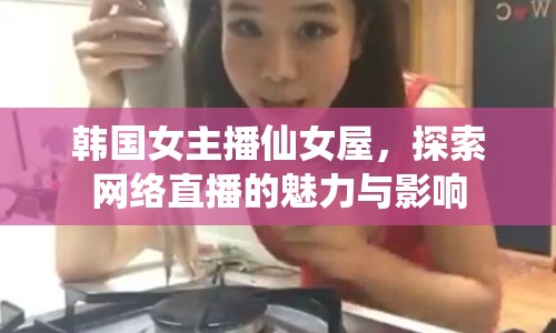 韓國女主播仙女屋，探索網(wǎng)絡(luò)直播的魅力與影響