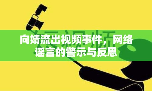 向婧流出視頻事件，網(wǎng)絡謠言的警示與反思