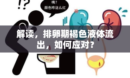 解讀，排卵期褐色液體流出，如何應(yīng)對(duì)？