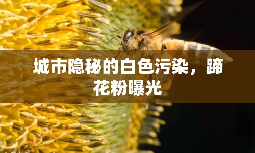 城市隱秘的白色污染，蹄花粉曝光