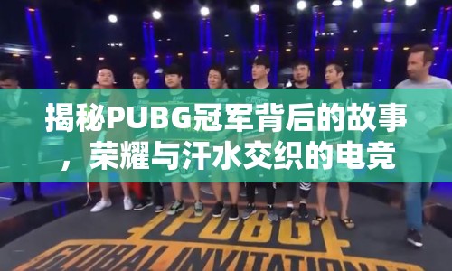 揭秘PUBG冠軍背后的故事，榮耀與汗水交織的電競(jìng)傳奇