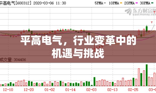 平高電氣，行業(yè)變革中的機(jī)遇與挑戰(zhàn)