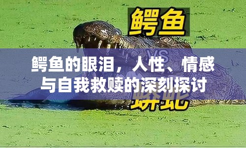 鱷魚的眼淚，人性、情感與自我救贖的深刻探討