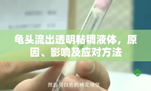 龜頭流出透明粘稠液體，原因、影響及應對方法