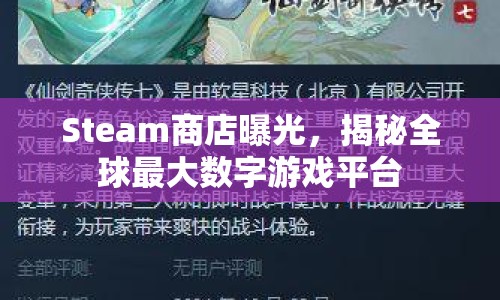 Steam商店曝光，揭秘全球最大數(shù)字游戲平臺