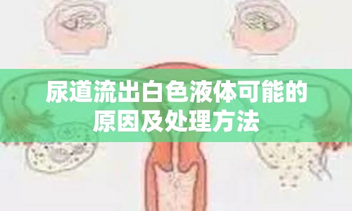 尿道流出白色液體可能的原因及處理方法