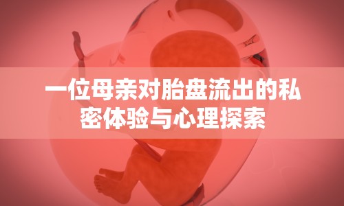 一位母親對(duì)胎盤流出的私密體驗(yàn)與心理探索