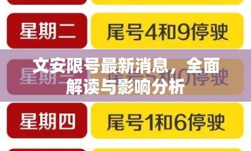 文安限號最新消息，全面解讀與影響分析