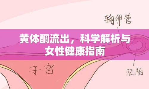 黃體酮流出，科學解析與女性健康指南