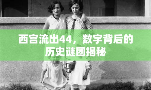 西宮流出44，數(shù)字背后的歷史謎團揭秘