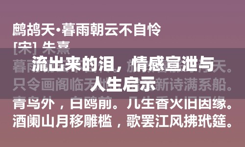 流出來的淚，情感宣泄與人生啟示