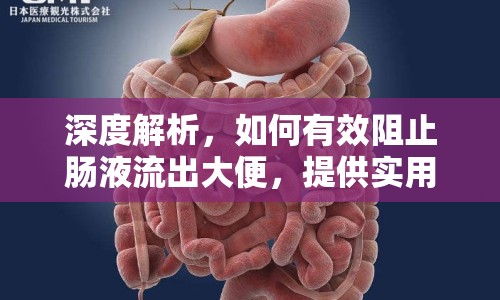 深度解析，如何有效阻止腸液流出大便，提供實(shí)用建議