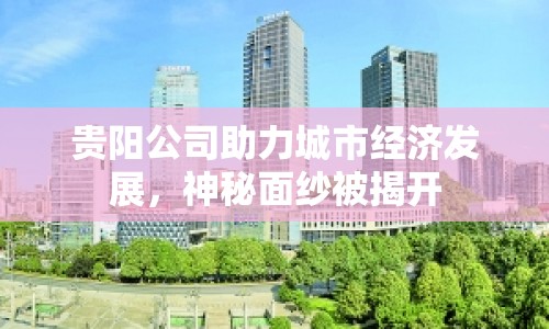 貴陽公司助力城市經(jīng)濟發(fā)展，神秘面紗被揭開