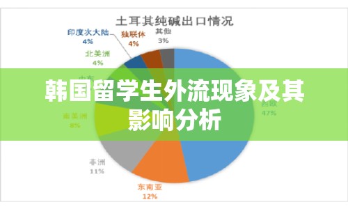 韓國留學生外流現(xiàn)象及其影響分析