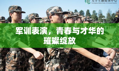 軍訓(xùn)表演，青春與才華的璀璨綻放