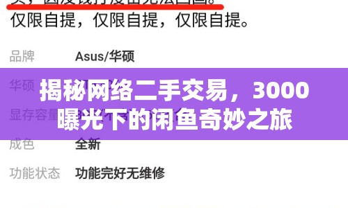 揭秘網(wǎng)絡(luò)二手交易，3000曝光下的閑魚(yú)奇妙之旅