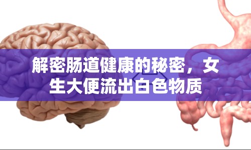 解密腸道健康的秘密，女生大便流出白色物質(zhì)