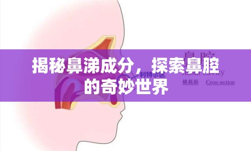 揭秘鼻涕成分，探索鼻腔的奇妙世界