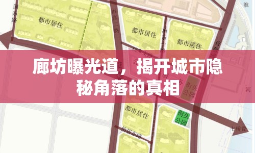 廊坊曝光道，揭開(kāi)城市隱秘角落的真相