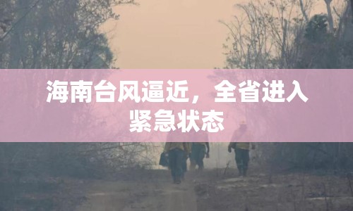 海南臺風逼近，全省進入緊急狀態(tài)