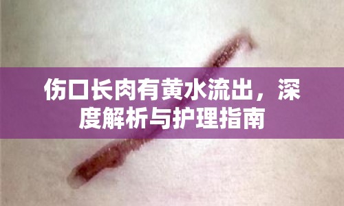 傷口長肉有黃水流出，深度解析與護理指南