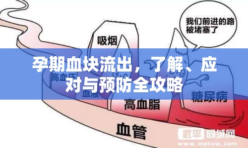 孕期血塊流出，了解、應(yīng)對與預(yù)防全攻略