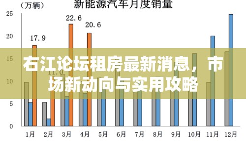 右江論壇租房最新消息，市場(chǎng)新動(dòng)向與實(shí)用攻略