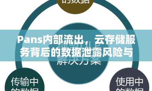 Pans內(nèi)部流出，云存儲服務背后的數(shù)據(jù)泄露風險與防護策略揭秘