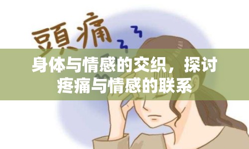 身體與情感的交織，探討疼痛與情感的聯(lián)系