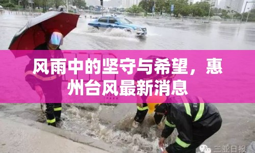 風(fēng)雨中的堅(jiān)守與希望，惠州臺風(fēng)最新消息