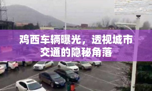 雞西車輛曝光，透視城市交通的隱秘角落