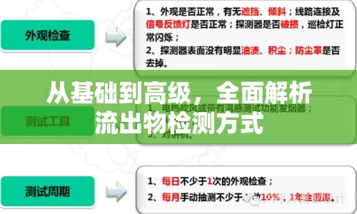 從基礎到高級，全面解析流出物檢測方式