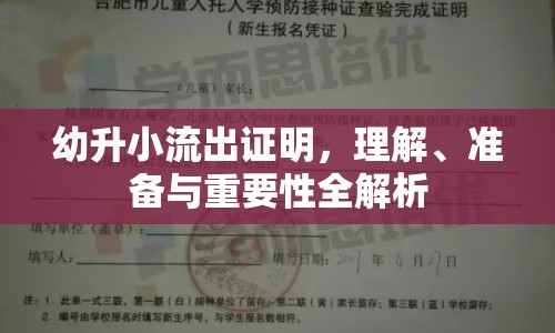 幼升小流出證明，理解、準備與重要性全解析